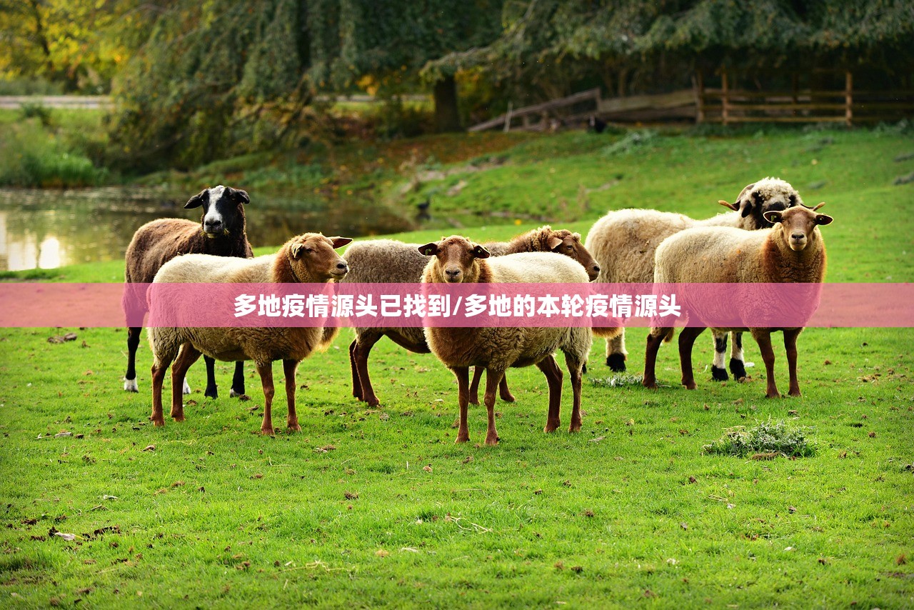 多地疫情源头已找到/多地的本轮疫情源头