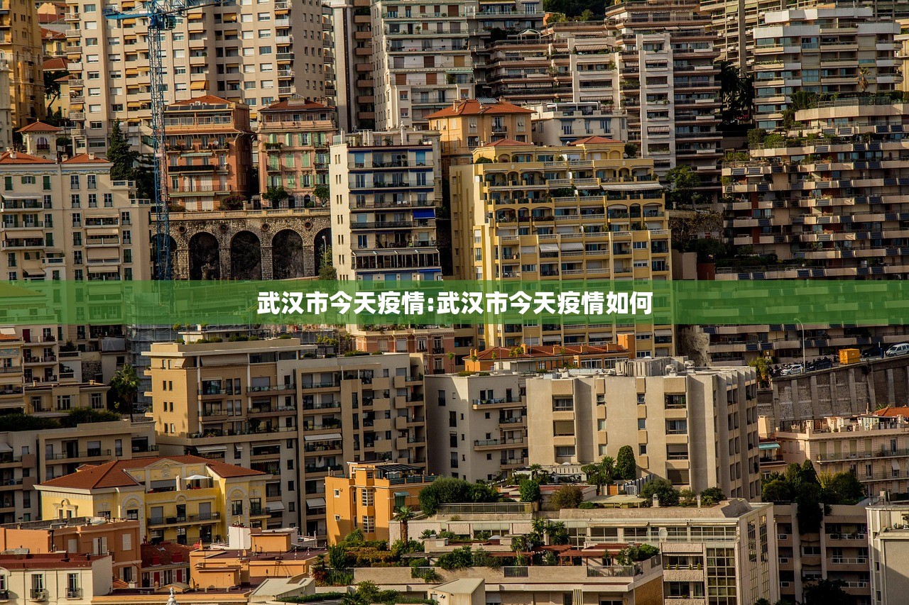 武汉市今天疫情:武汉市今天疫情如何