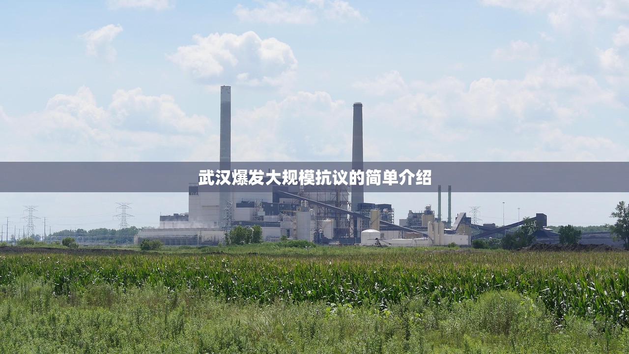 武汉爆发大规模抗议的简单介绍 武汉爆发大规模抗议的简单介绍