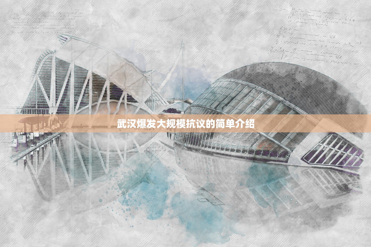 武汉爆发大规模抗议的简单介绍 武汉爆发大规模抗议的简单介绍