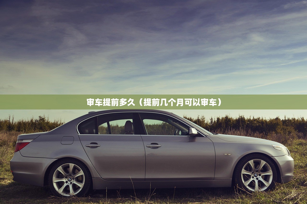 审车提前多久（提前几个月可以审车）