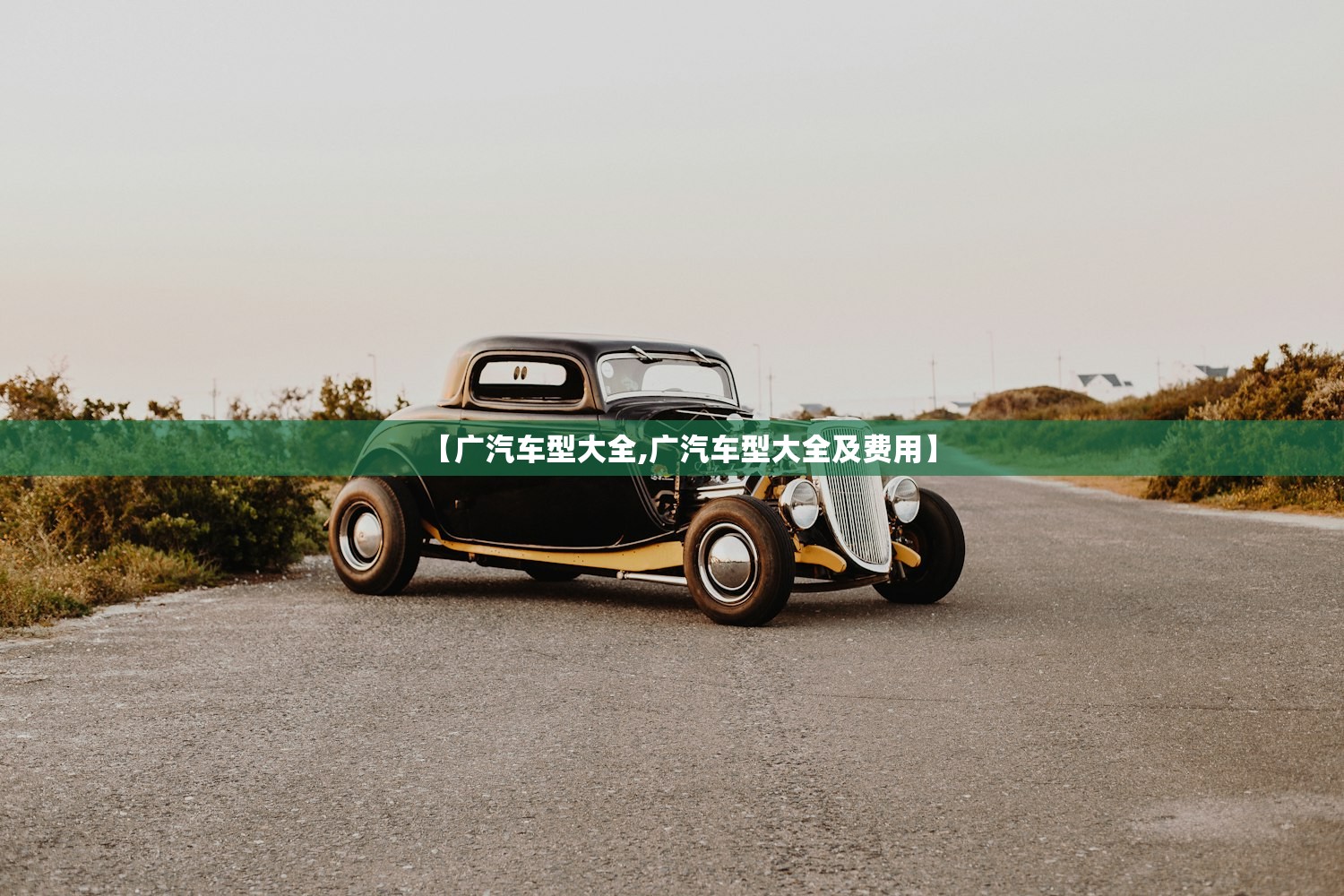 【广汽车型大全,广汽车型大全及费用】