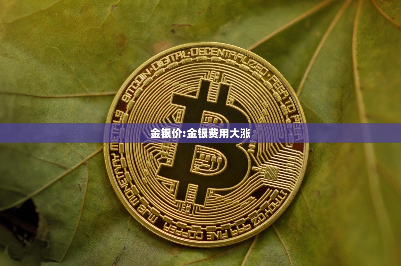 金银价:金银费用大涨 金银价:金银费用大涨