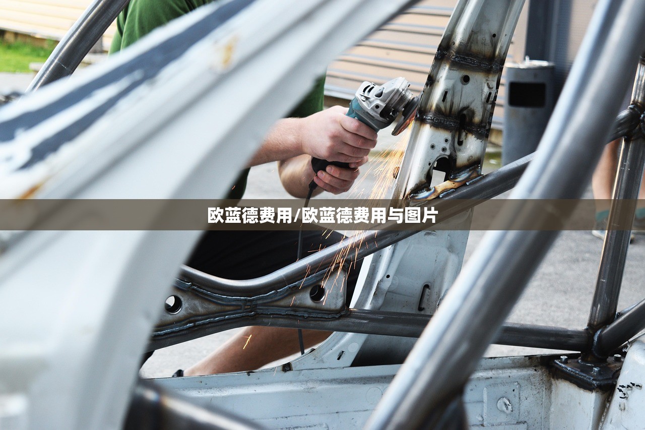 欧蓝德费用/欧蓝德费用与图片