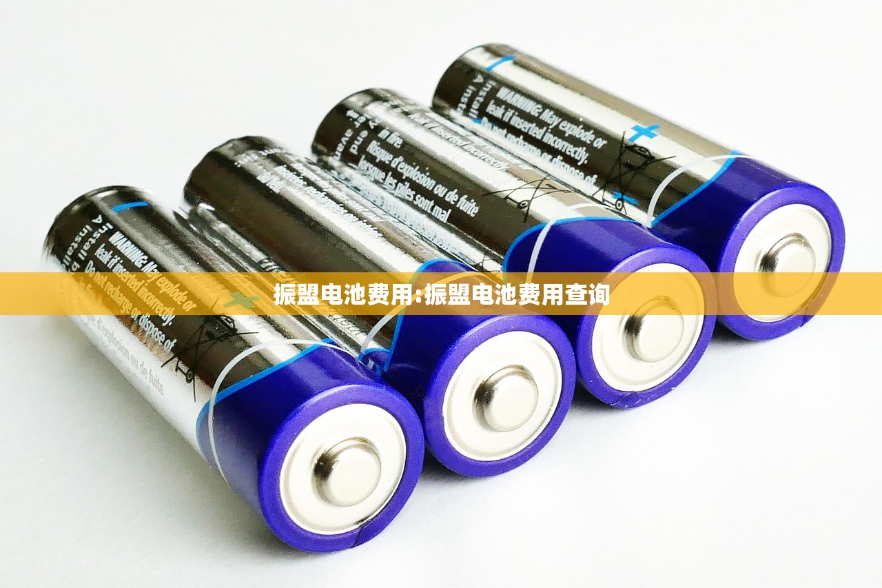 振盟电池费用:振盟电池费用查询