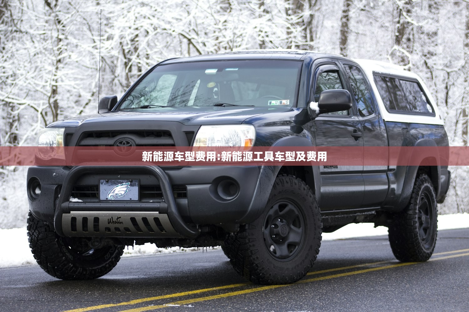 新能源车型费用:新能源工具车型及费用 新能源车型费用:新能源工具车型及费用