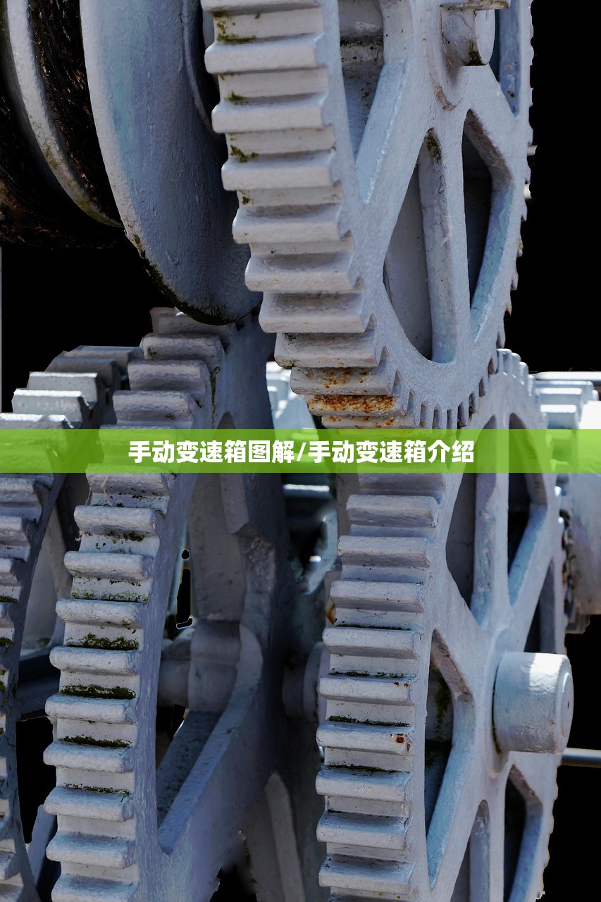 手动变速箱图解/手动变速箱介绍