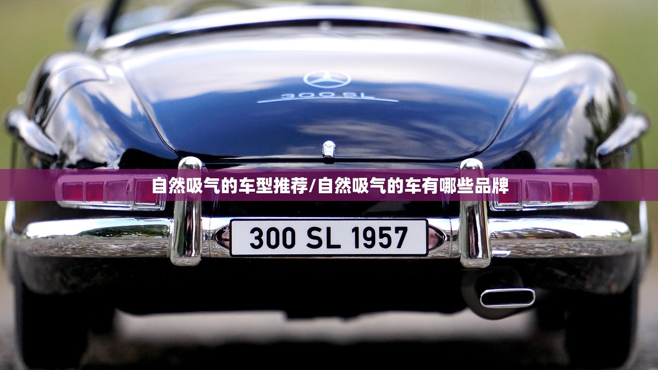 自然吸气的车型推荐/自然吸气的车有哪些品牌 自然吸气的车型推荐/自然吸气的车有哪些品牌