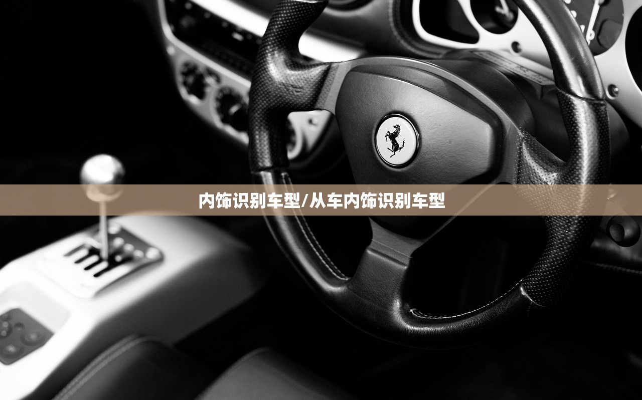 内饰识别车型/从车内饰识别车型