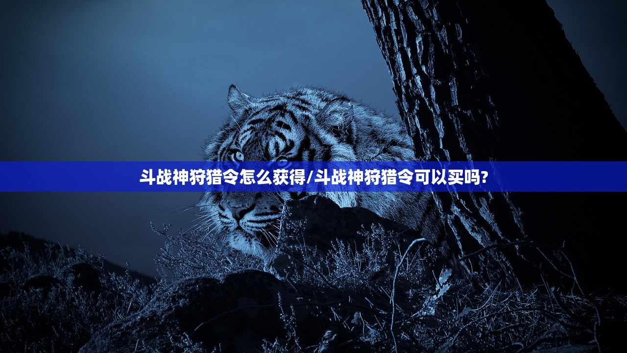 斗战神狩猎令怎么获得/斗战神狩猎令可以买吗?