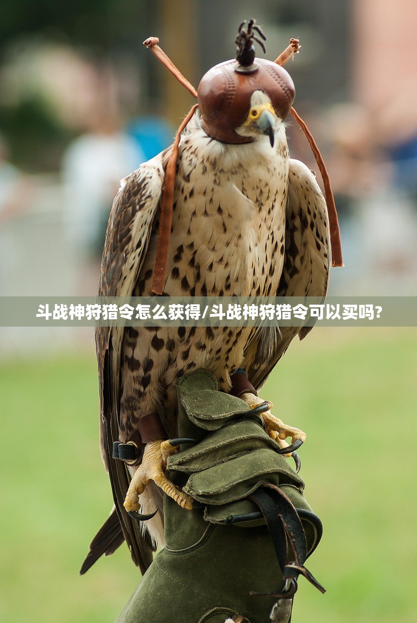 斗战神狩猎令怎么获得/斗战神狩猎令可以买吗?