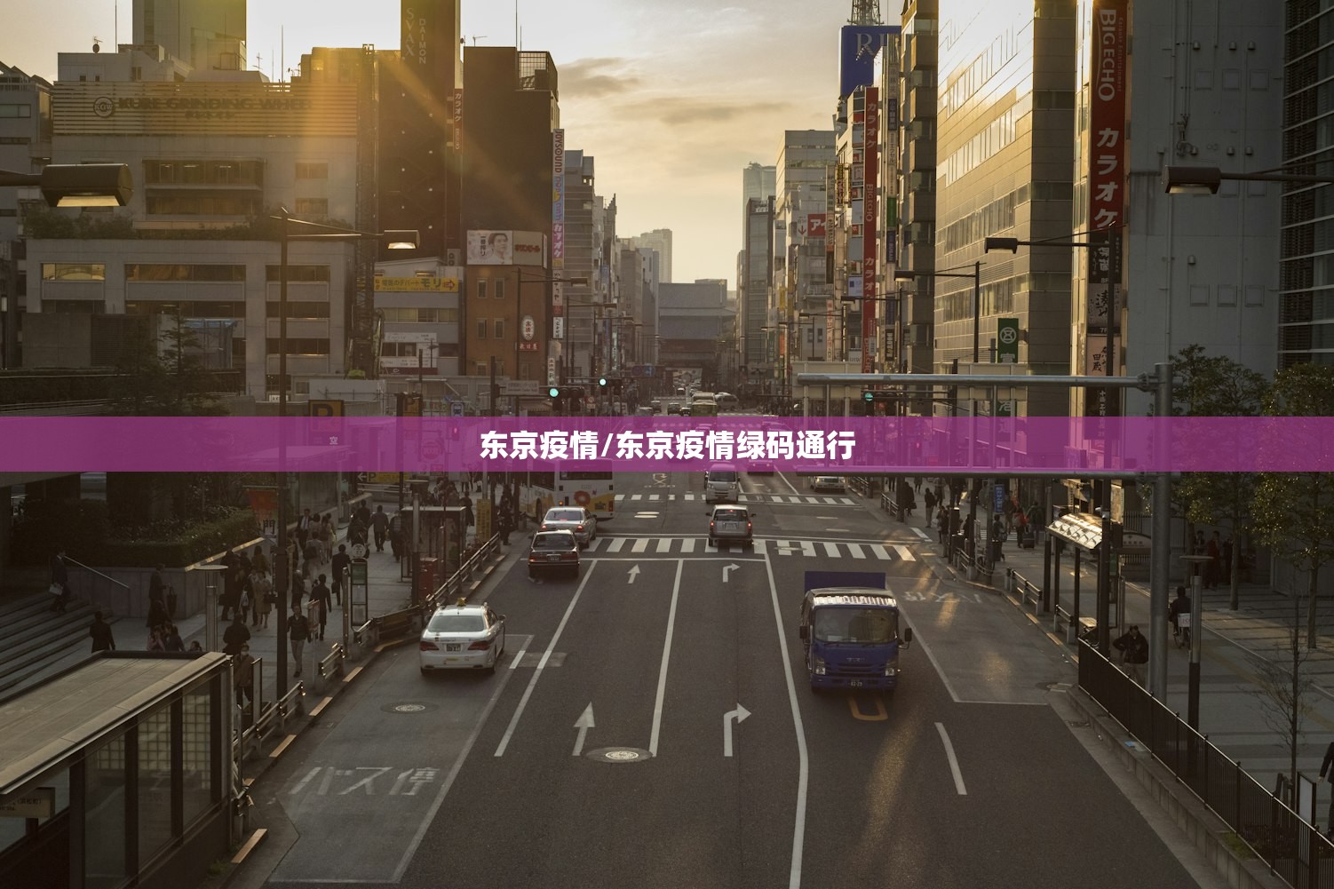 东京疫情/东京疫情绿码通行
