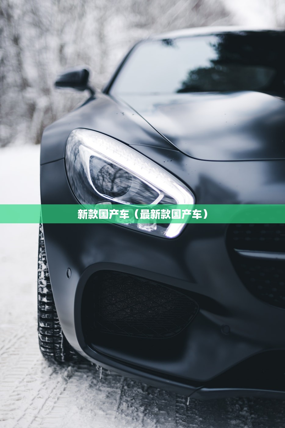 新款国产车（最新款国产车）