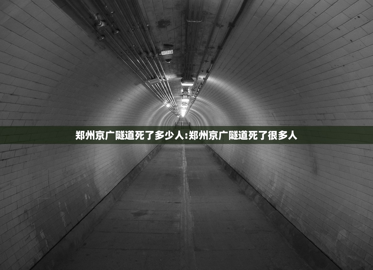 郑州京广隧道死了多少人:郑州京广隧道死了很多人 郑州京广隧道死了多少人:郑州京广隧道死了很多人