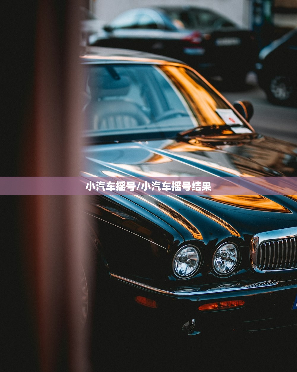 小汽车摇号/小汽车摇号结果