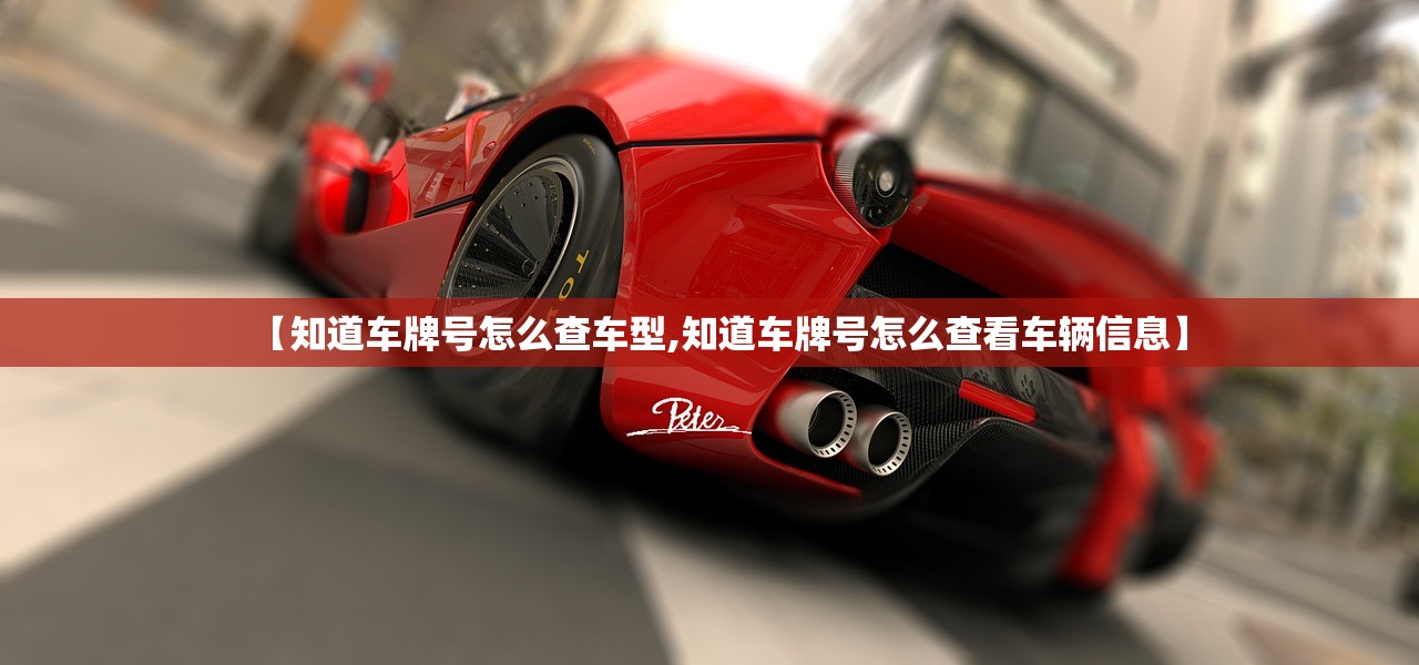 【知道车牌号怎么查车型,知道车牌号怎么查看车辆信息】