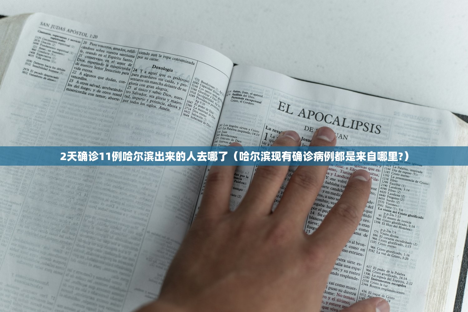 2天确诊11例哈尔滨出来的人去哪了（哈尔滨现有确诊病例都是来自哪里?）
