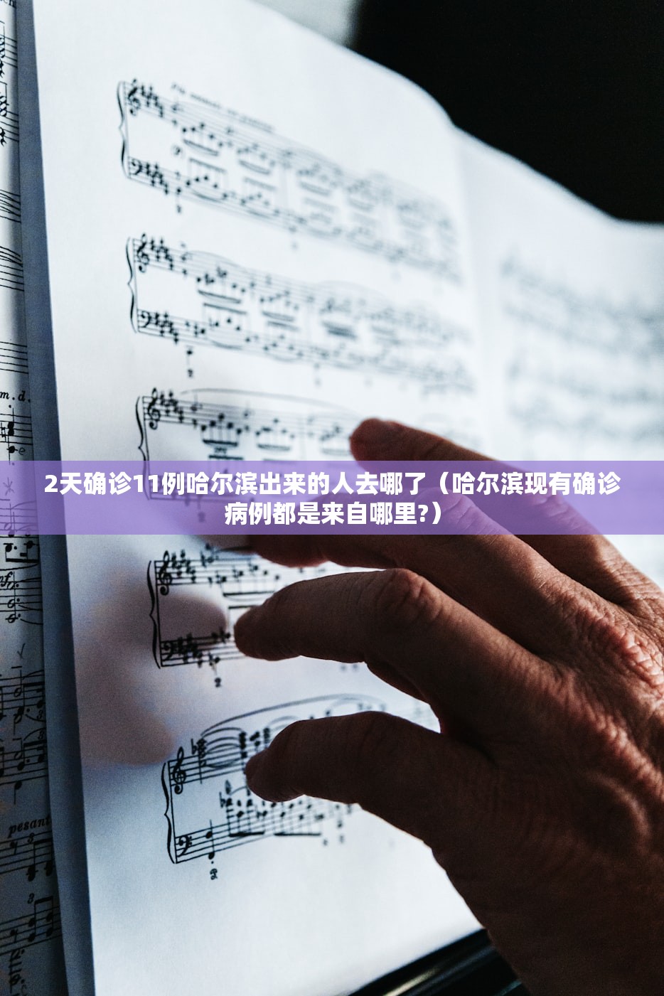 2天确诊11例哈尔滨出来的人去哪了（哈尔滨现有确诊病例都是来自哪里?）