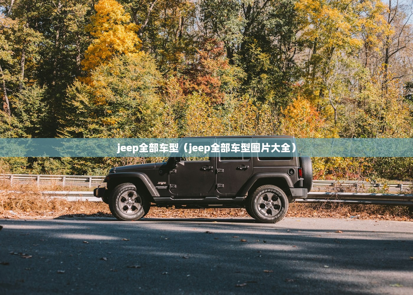 jeep全部车型（jeep全部车型图片大全）