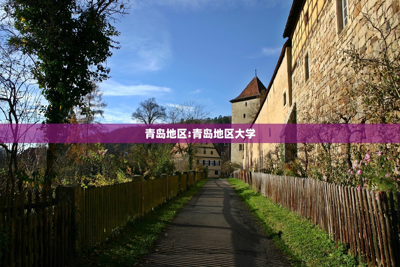 青岛地区:青岛地区大学