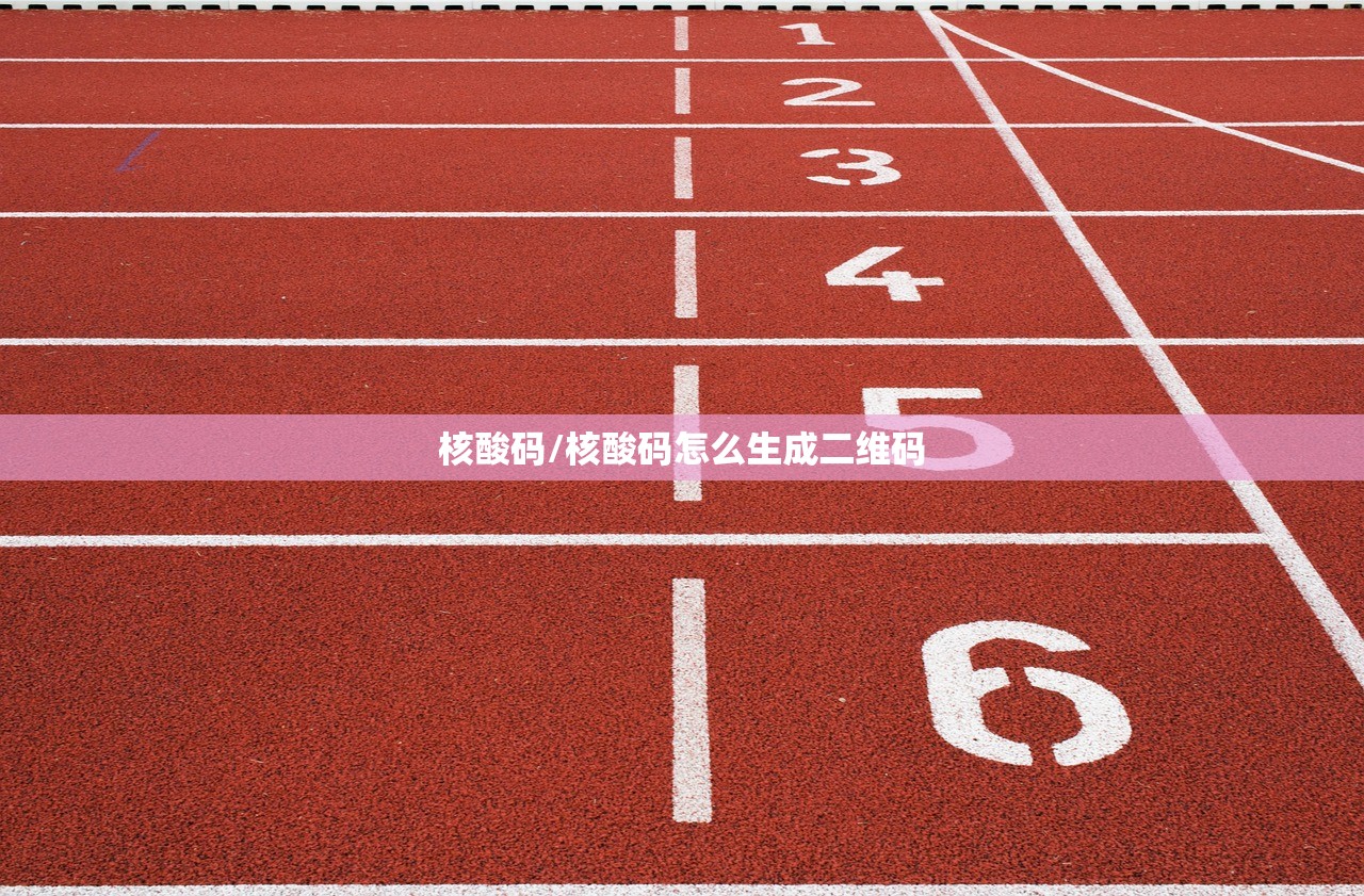 核酸码/核酸码怎么生成二维码