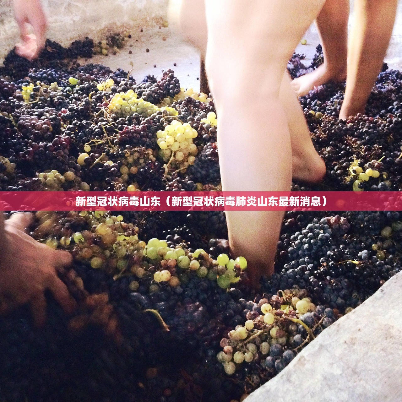 新型冠状病毒山东（新型冠状病毒肺炎山东最新消息）