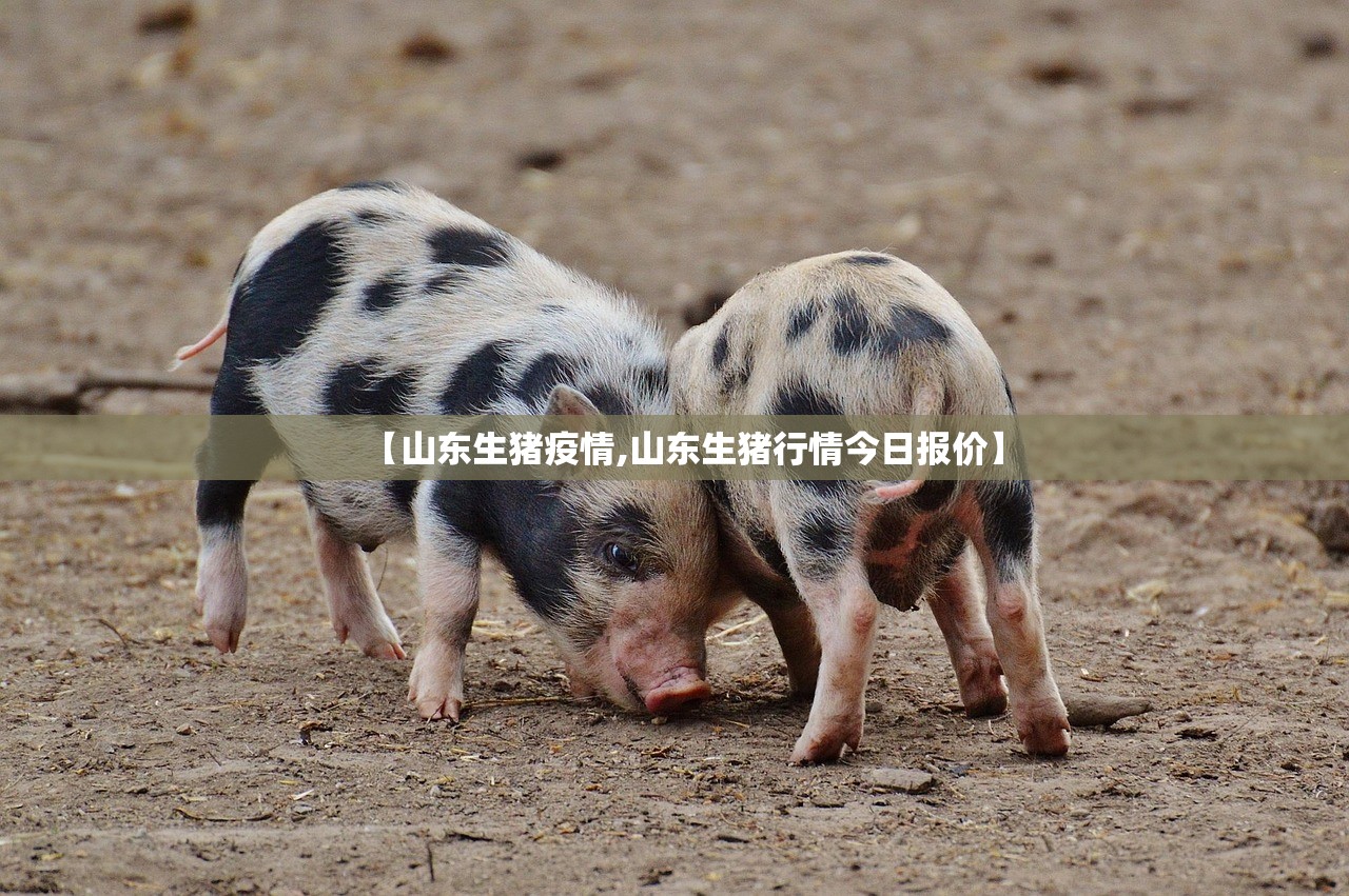 【山东生猪疫情,山东生猪行情今日报价】 【山东生猪疫情,山东生猪行情今日报价】