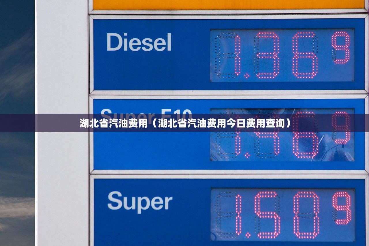 湖北省汽油费用（湖北省汽油费用今日费用查询）