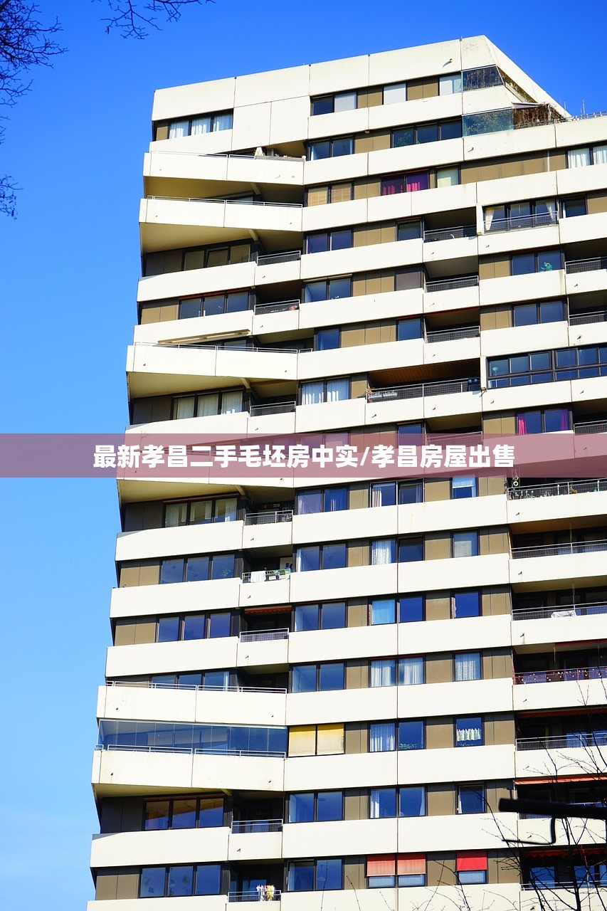最新孝昌二手毛坯房中实/孝昌房屋出售