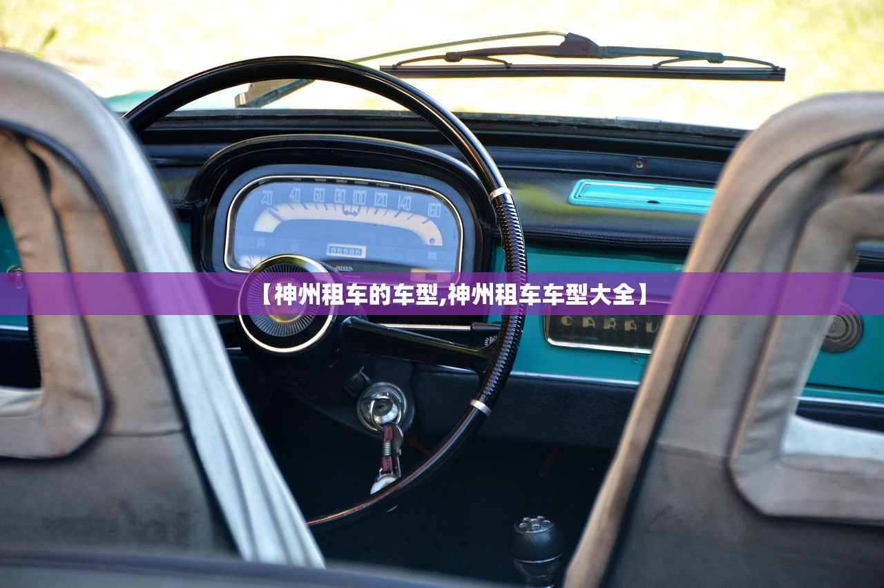 【神州租车的车型,神州租车车型大全】