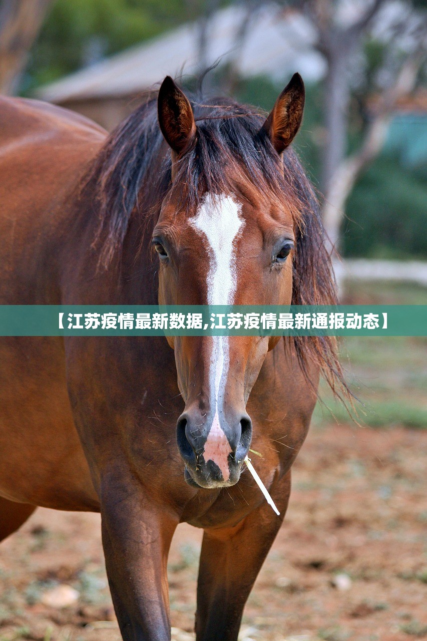 【江苏疫情最新数据,江苏疫情最新通报动态】