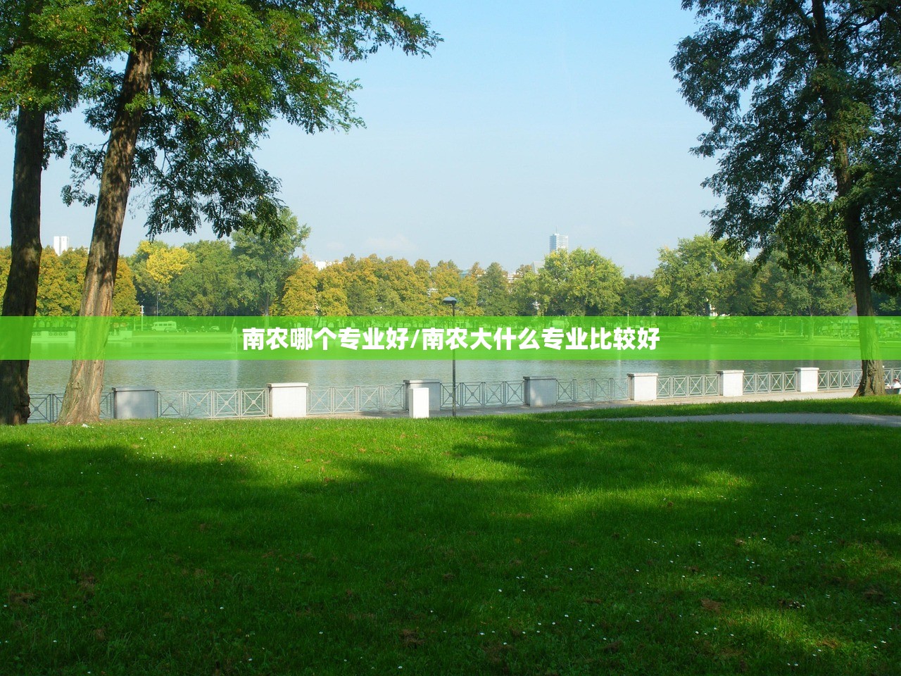 南农哪个专业好/南农大什么专业比较好