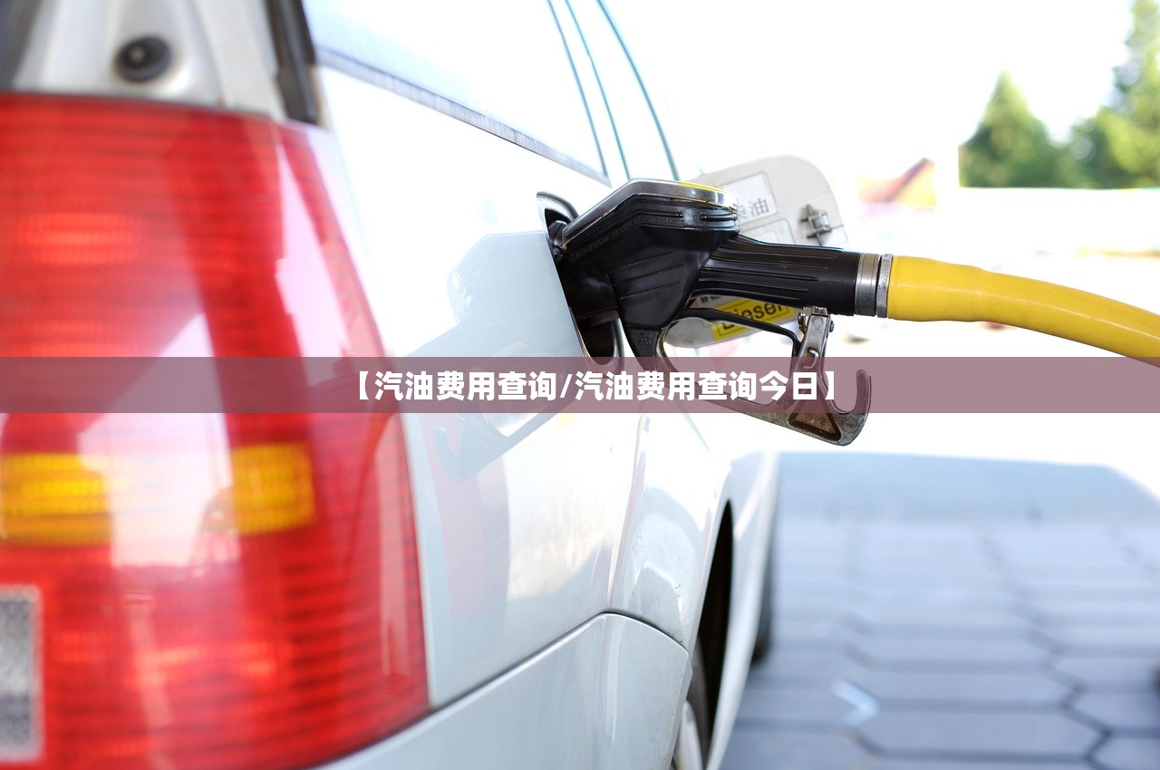 【汽油费用查询/汽油费用查询今日】