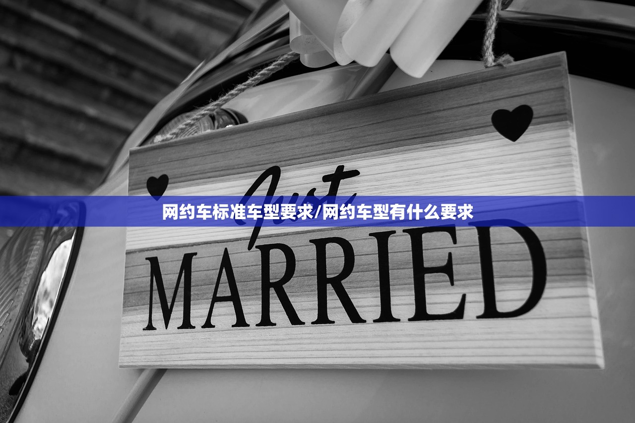 网约车标准车型要求/网约车型有什么要求
