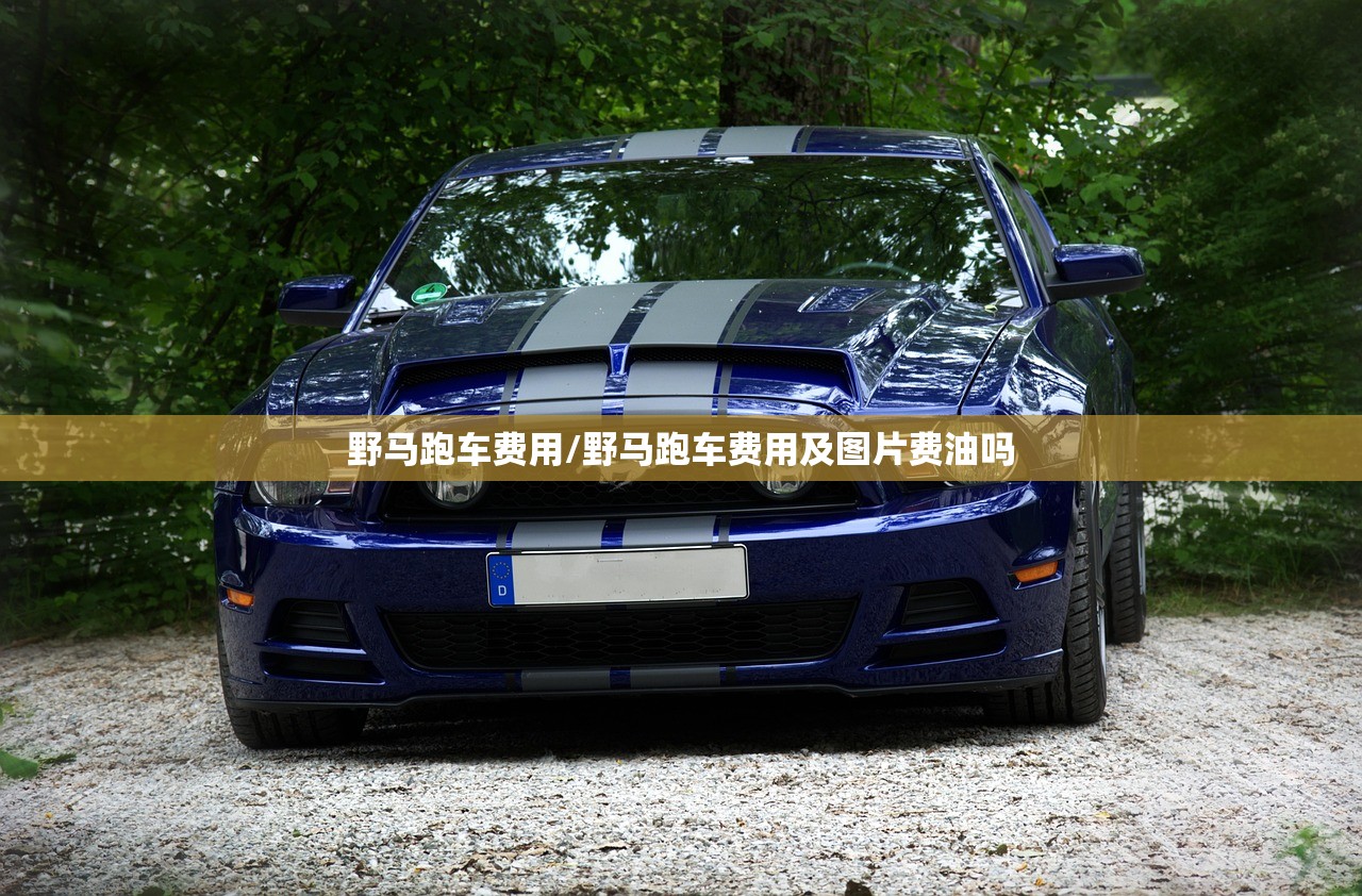 野马跑车费用/野马跑车费用及图片费油吗