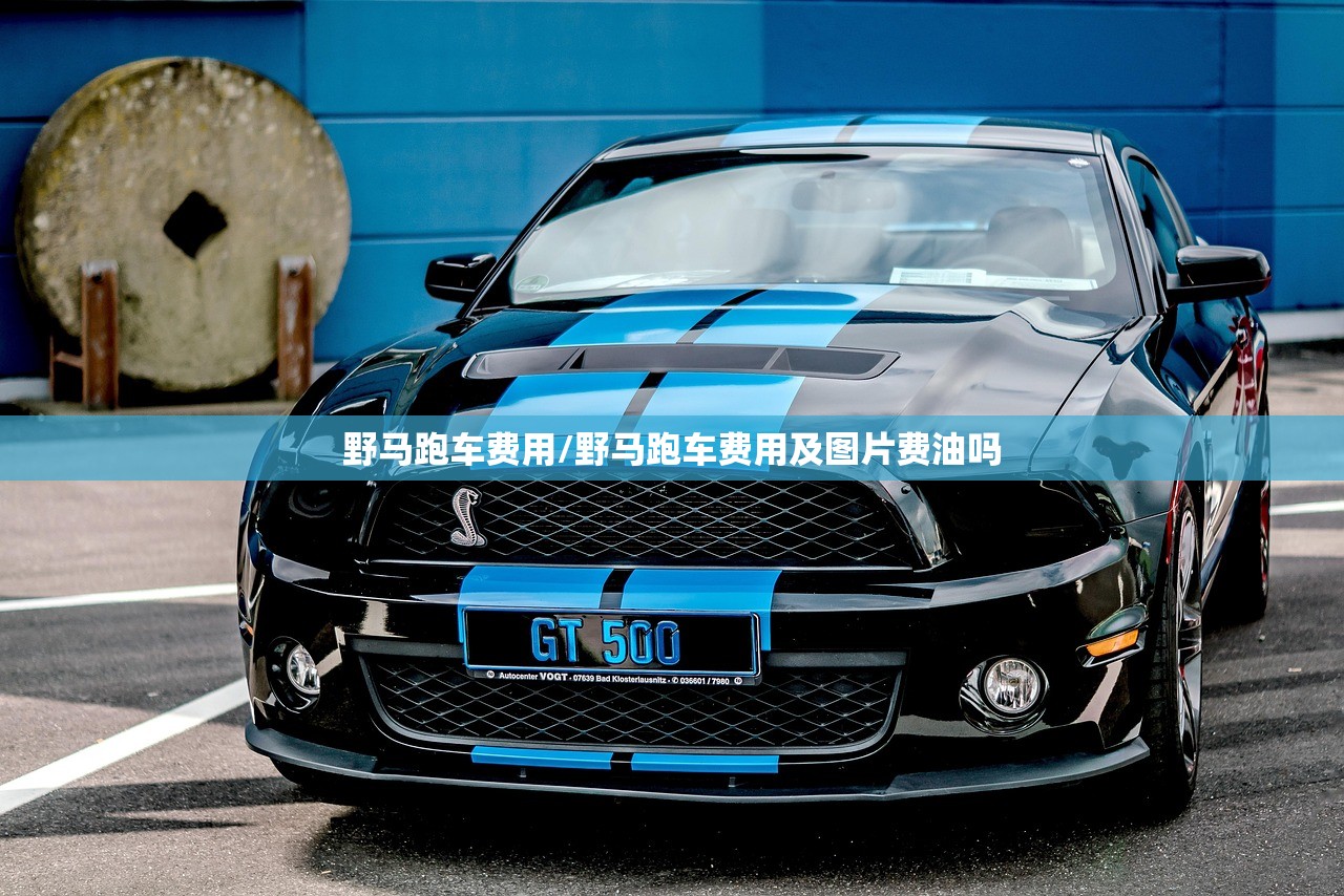 野马跑车费用/野马跑车费用及图片费油吗