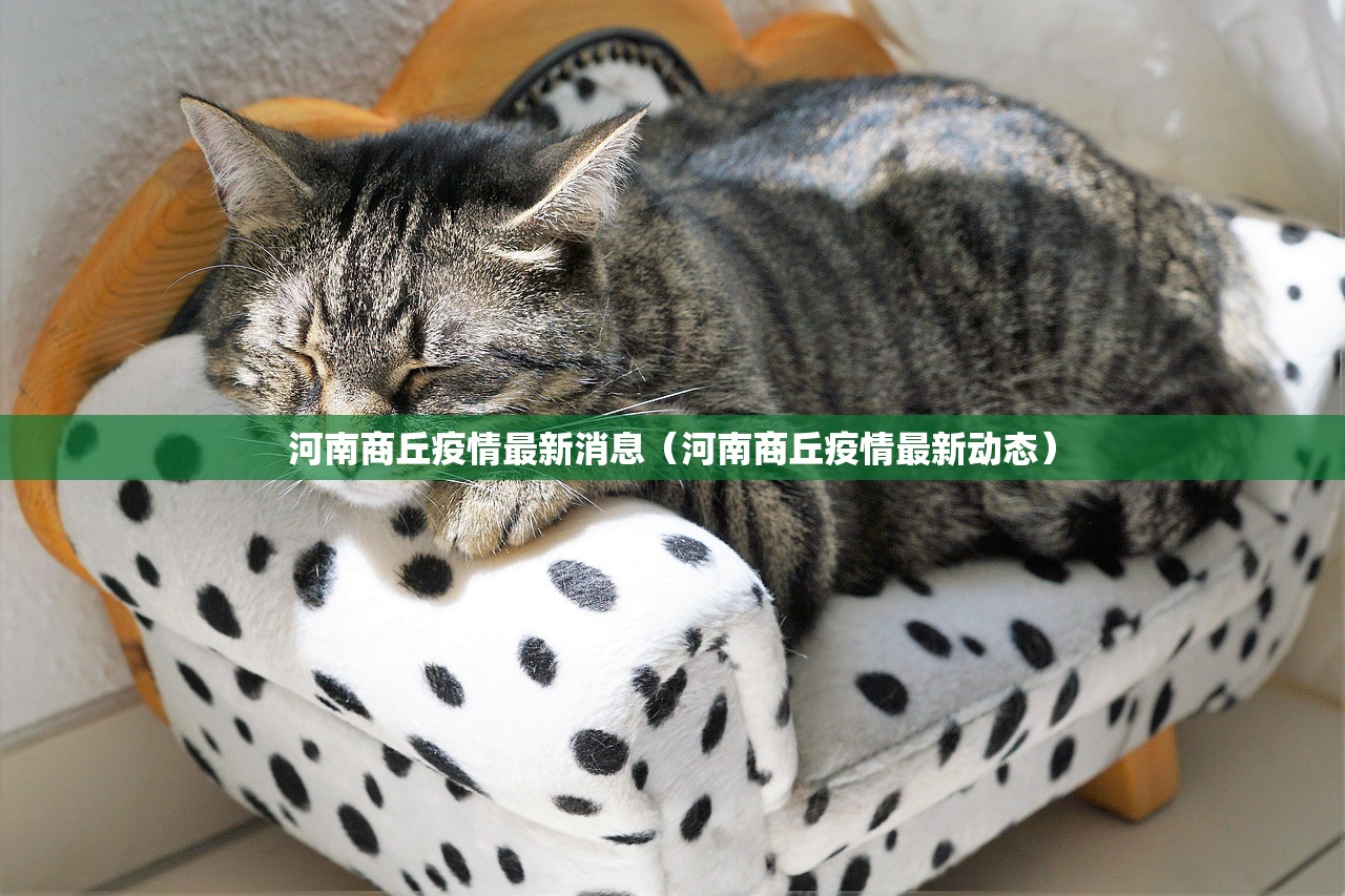 河南商丘疫情最新消息（河南商丘疫情最新动态）