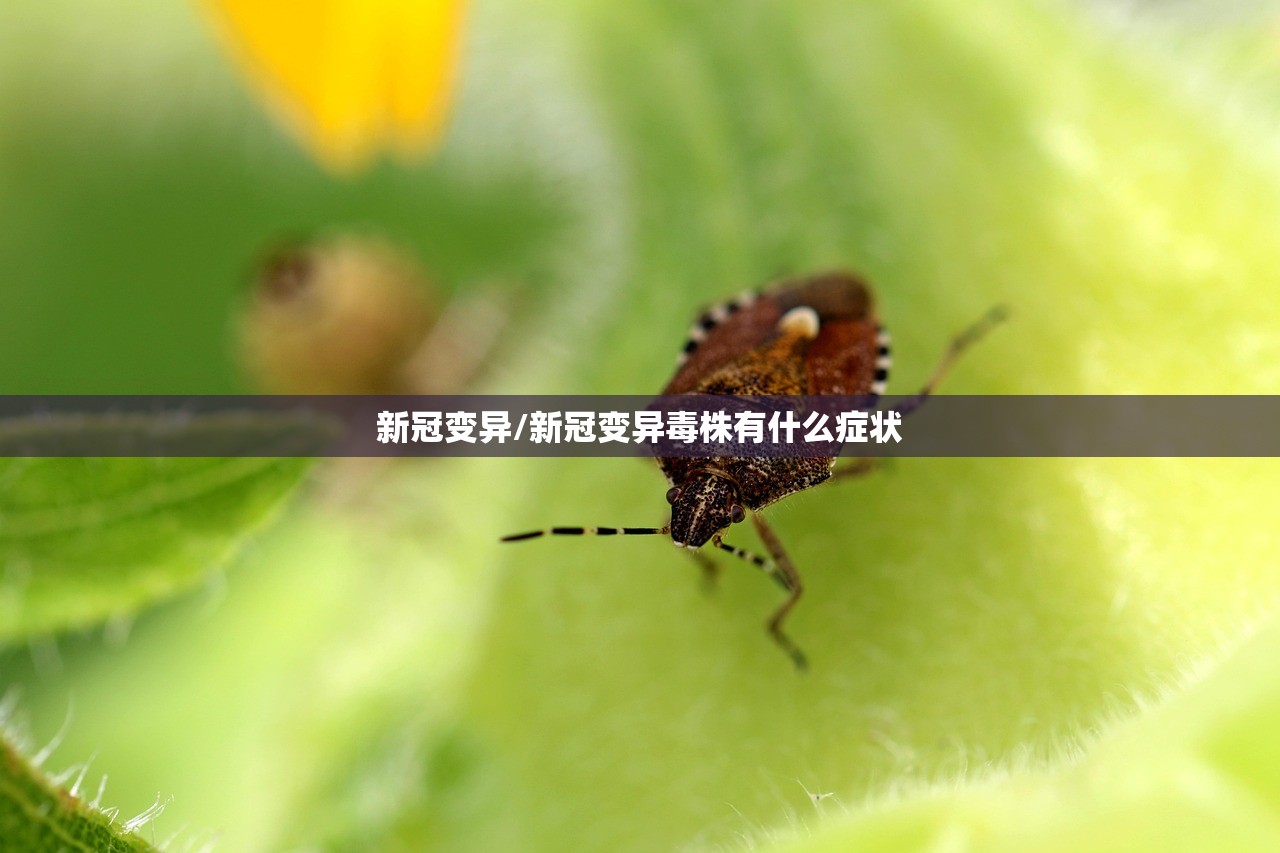 新冠变异/新冠变异毒株有什么症状 新冠变异/新冠变异毒株有什么症状