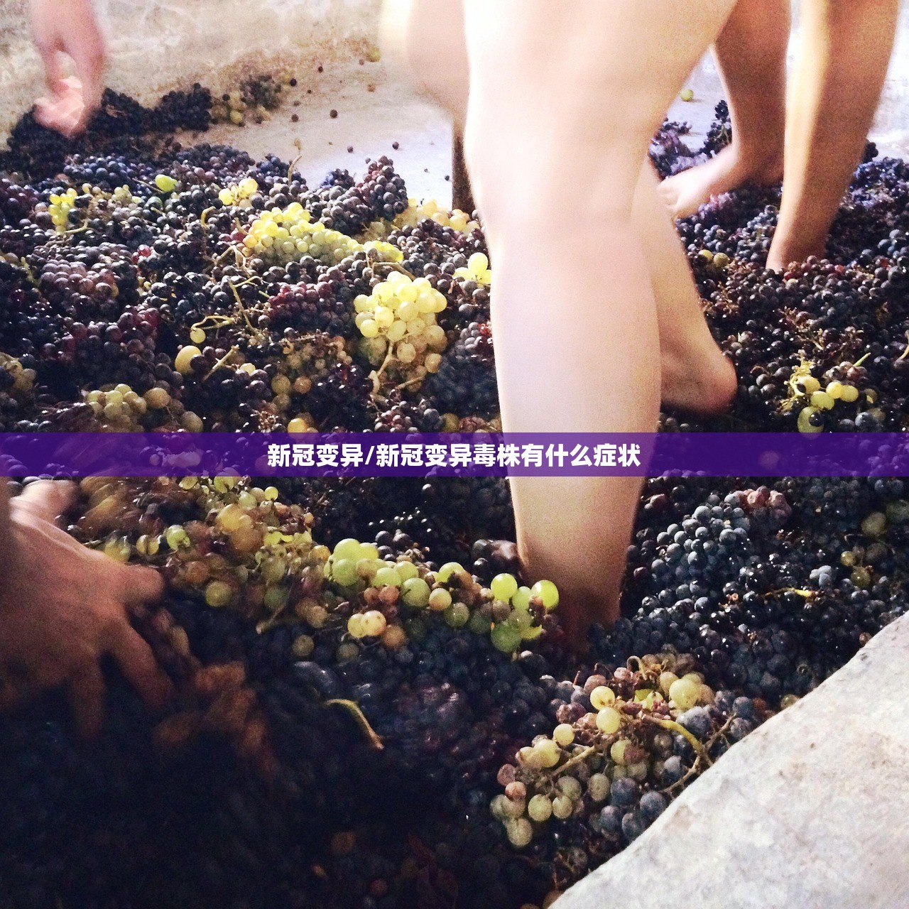 新冠变异/新冠变异毒株有什么症状 新冠变异/新冠变异毒株有什么症状