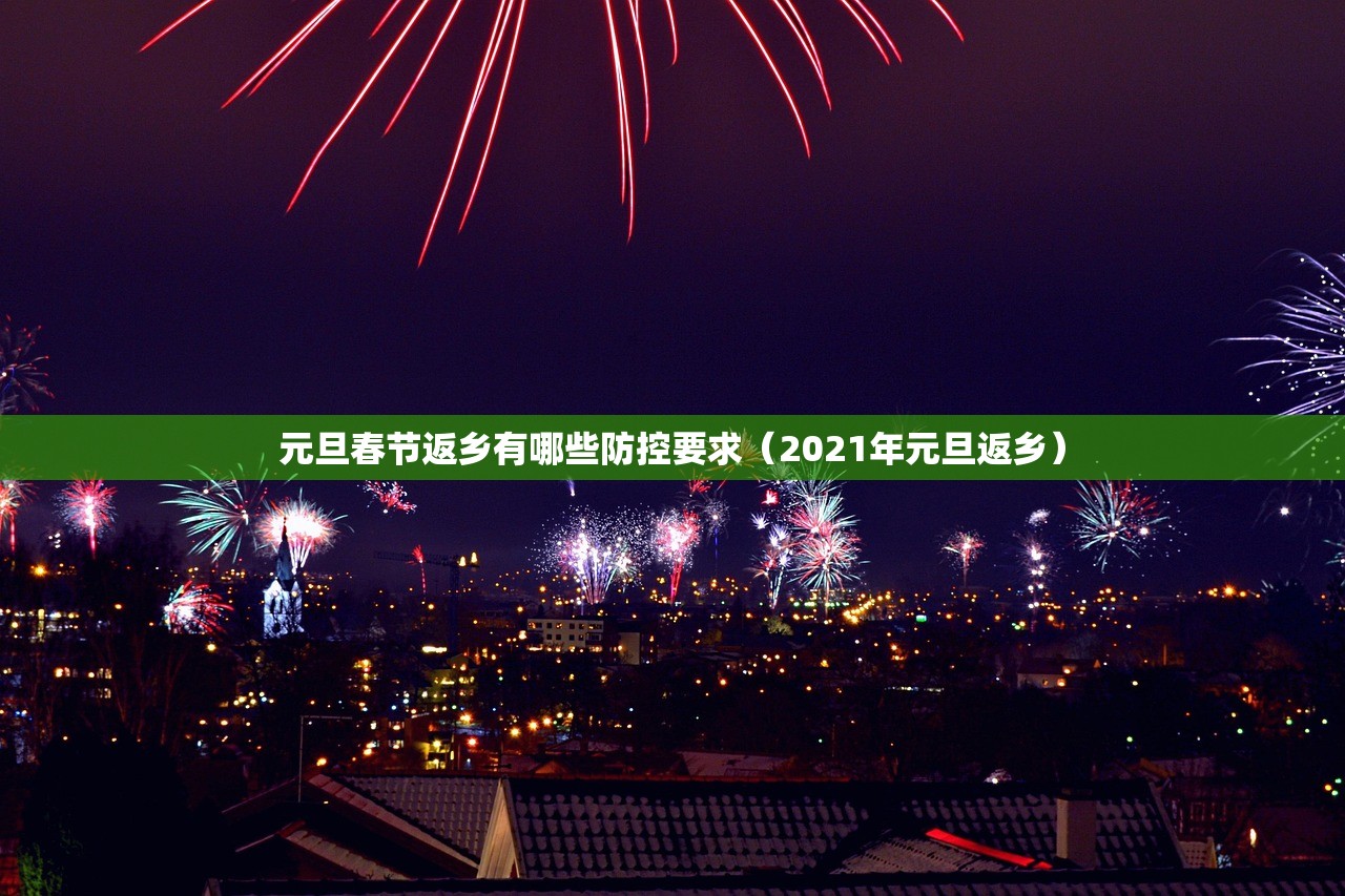 元旦春节返乡有哪些防控要求（2021年元旦返乡）
