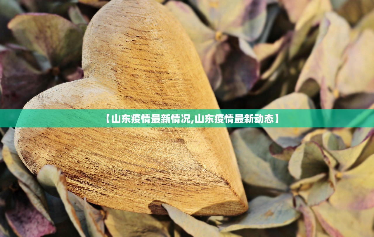 【山东疫情最新情况,山东疫情最新动态】