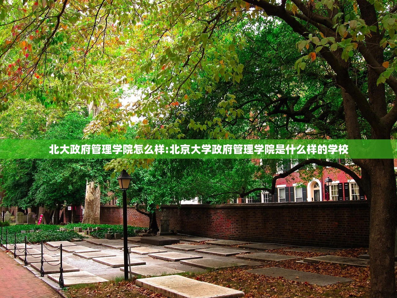 北大政府管理学院怎么样:北京大学政府管理学院是什么样的学校
