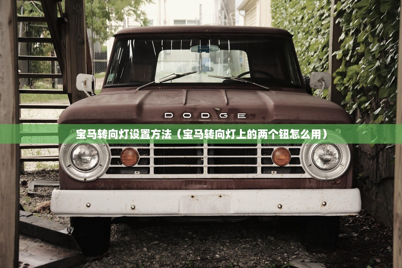 宝马转向灯设置方法（宝马转向灯上的两个钮怎么用）