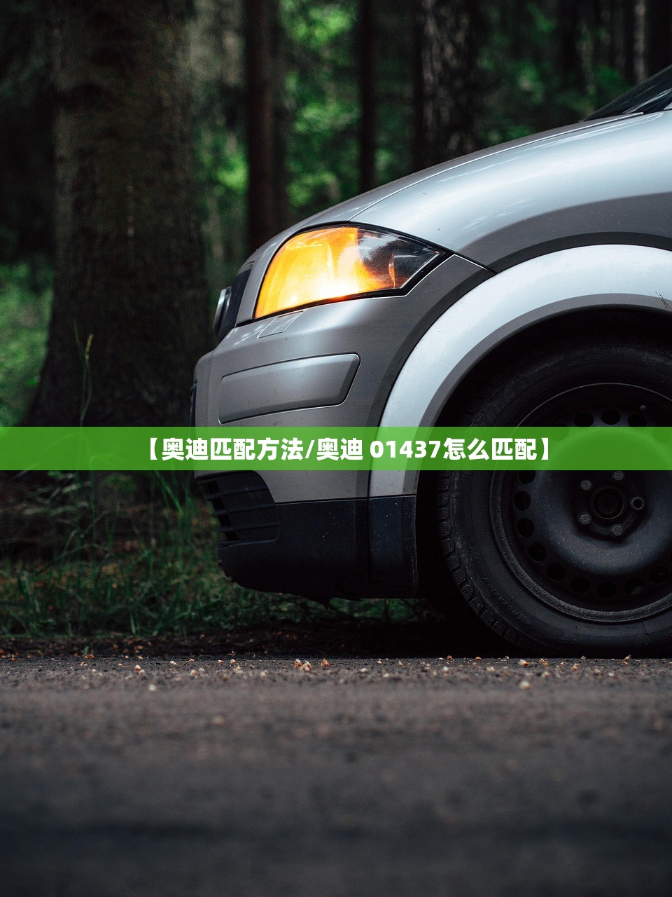 【奥迪匹配方法/奥迪 01437怎么匹配】 【奥迪匹配方法/奥迪 01437怎么匹配】
