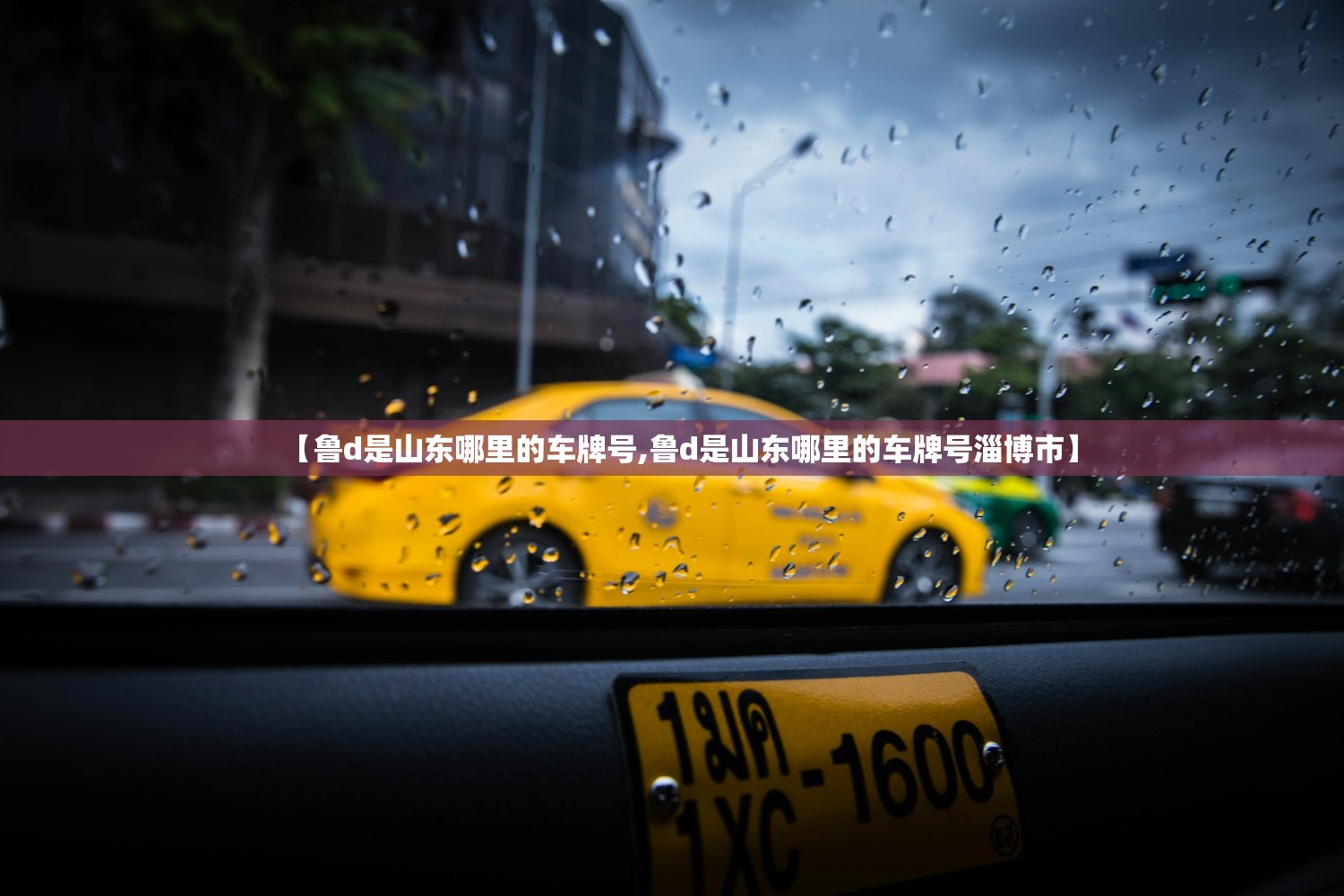 【鲁d是山东哪里的车牌号,鲁d是山东哪里的车牌号淄博市】