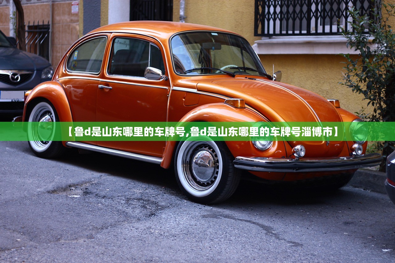 【鲁d是山东哪里的车牌号,鲁d是山东哪里的车牌号淄博市】