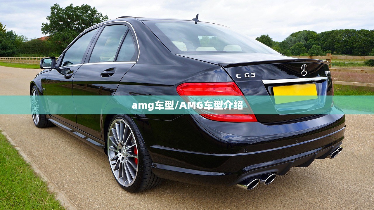 amg车型/AMG车型介绍 amg车型/AMG车型介绍