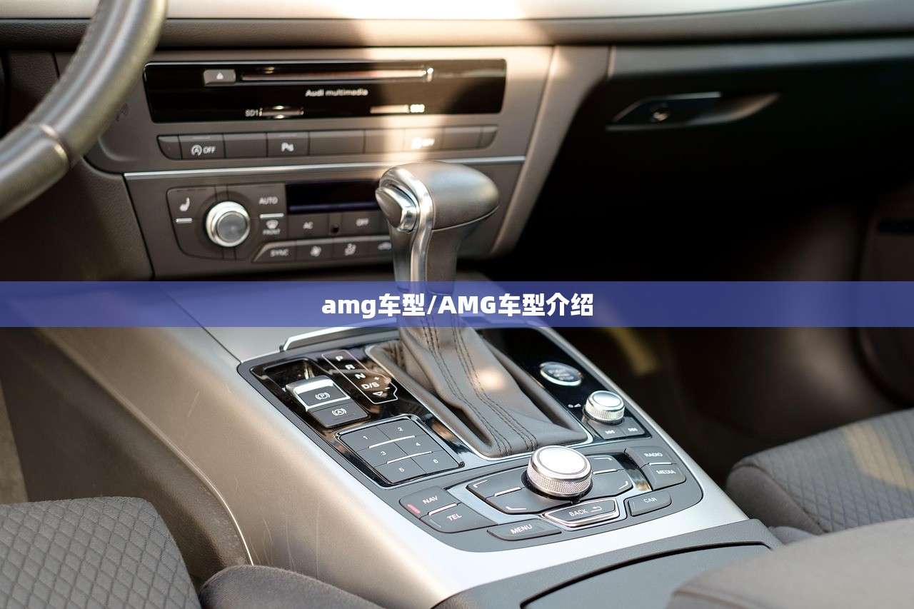 amg车型/AMG车型介绍 amg车型/AMG车型介绍