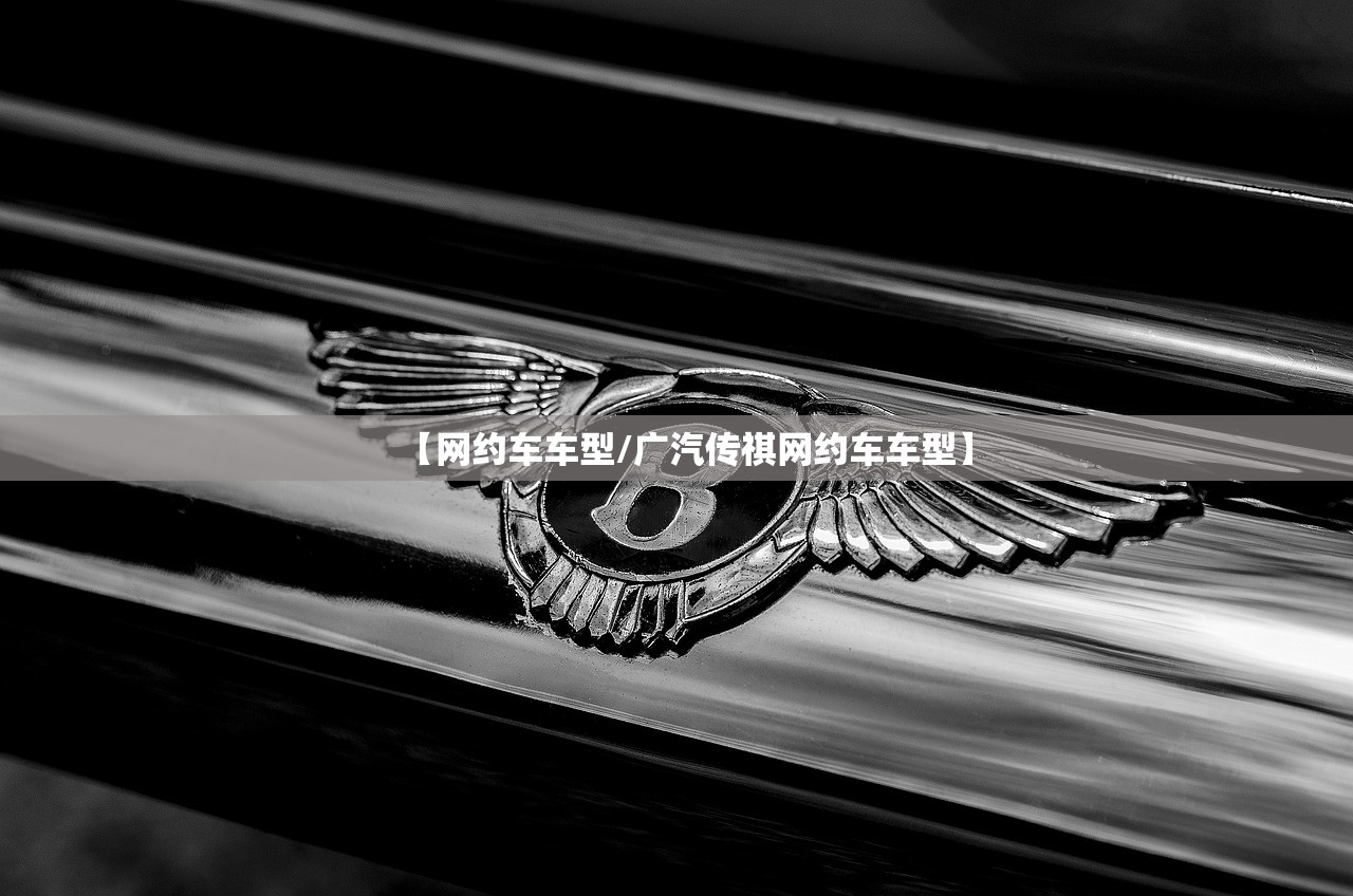 【网约车车型/广汽传祺网约车车型】