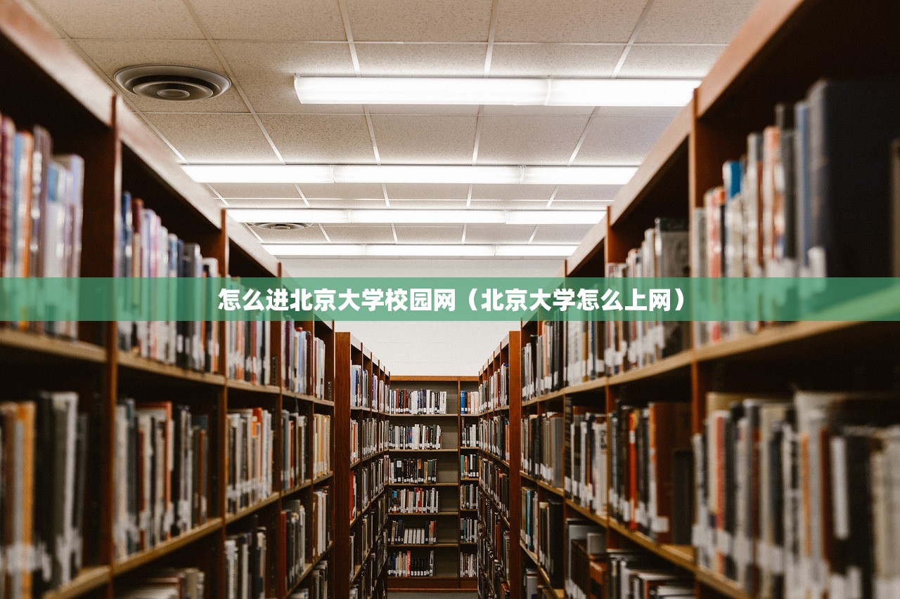 怎么进北京大学校园网（北京大学怎么上网）
